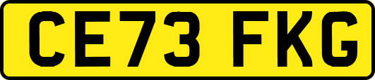 CE73FKG