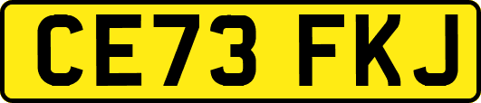 CE73FKJ