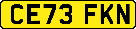 CE73FKN