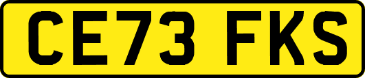 CE73FKS