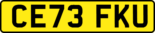 CE73FKU