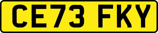 CE73FKY