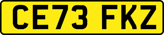 CE73FKZ