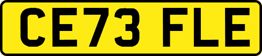 CE73FLE