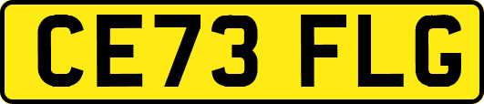 CE73FLG
