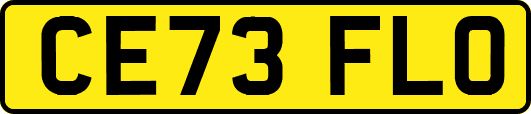 CE73FLO