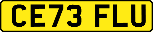 CE73FLU