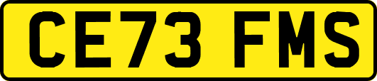 CE73FMS