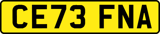 CE73FNA