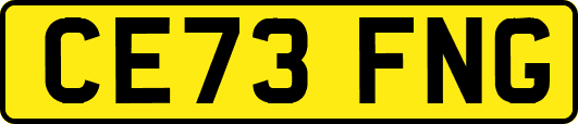 CE73FNG