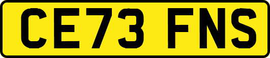 CE73FNS