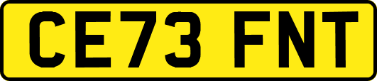 CE73FNT