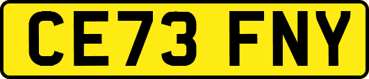 CE73FNY
