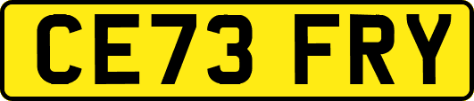 CE73FRY