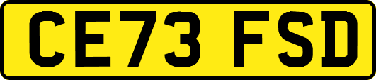 CE73FSD