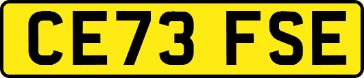 CE73FSE
