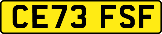 CE73FSF