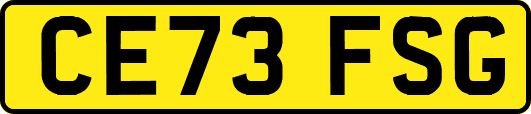 CE73FSG