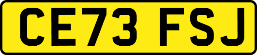 CE73FSJ