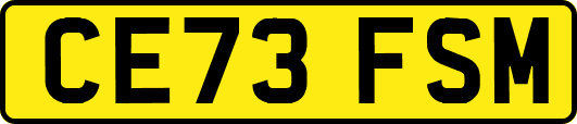 CE73FSM