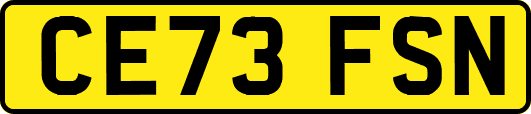 CE73FSN