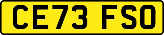 CE73FSO