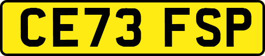 CE73FSP