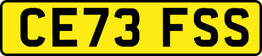 CE73FSS
