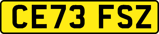 CE73FSZ