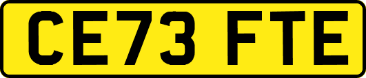 CE73FTE