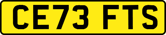 CE73FTS