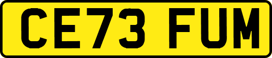 CE73FUM