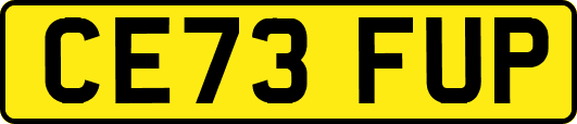 CE73FUP