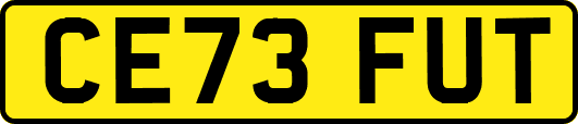 CE73FUT
