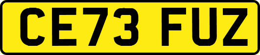 CE73FUZ
