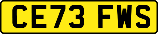 CE73FWS