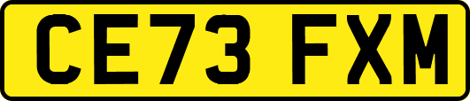 CE73FXM