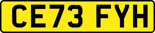 CE73FYH