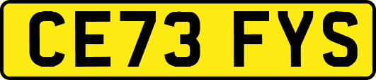 CE73FYS