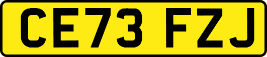 CE73FZJ