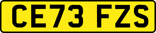 CE73FZS