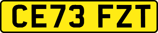 CE73FZT