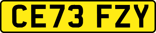 CE73FZY