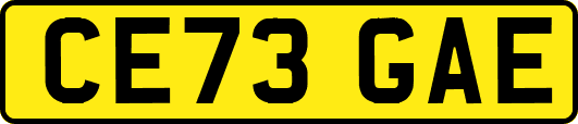 CE73GAE