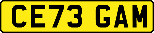 CE73GAM