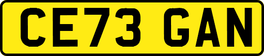 CE73GAN