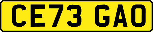 CE73GAO