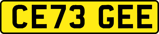 CE73GEE