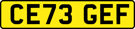 CE73GEF