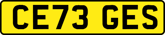 CE73GES